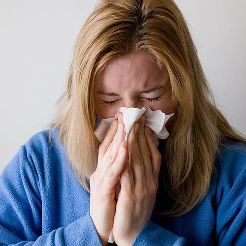 Vue interieure de la Pharmacie du Marché